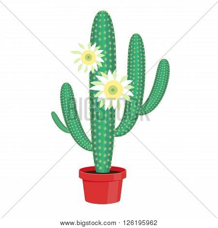 Flowering Cactus in a pot - home flower. Vector illustration.