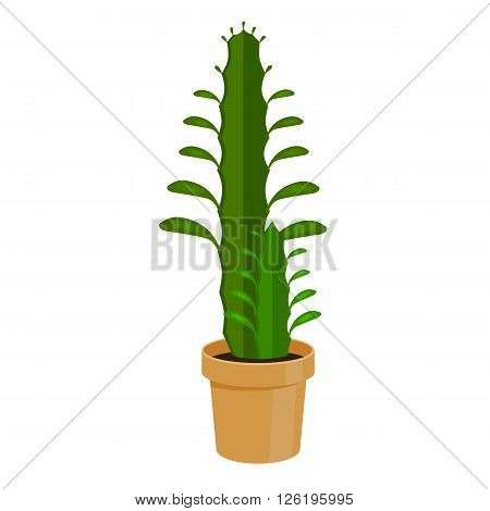 Cactus in a pot - home flower. Vector illustration.