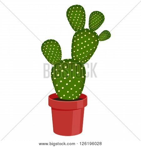 Cactus in a pot - home flower. Vector illustration.