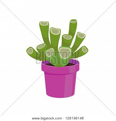 Cactus in a pot - home flower. Vector illustration.