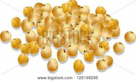 millet cereal. millet vector illustration. 
organic millet seeds