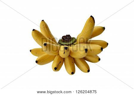 ripe bananas isolated on white background .