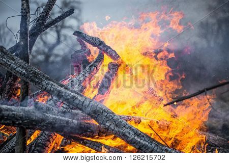 Strong real fire from the firewood inflated with hot coals