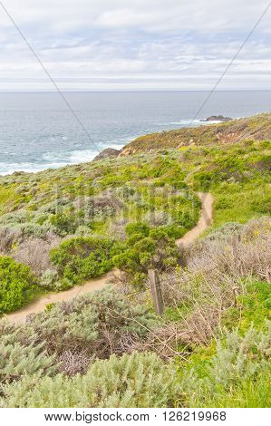 Trail And Beach At Garrapata State Park, California
