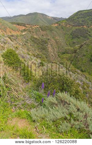 Mountain At Garrapata State Park, California