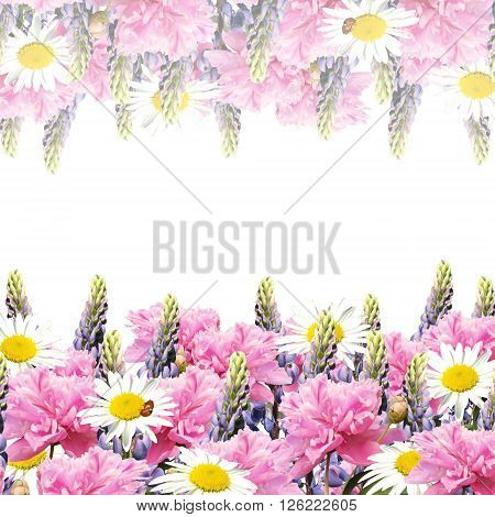 Delicate floral background. Peonies, lupins and daisies