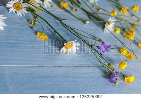 Wild flowers on wooden background grunge copyspace blooming