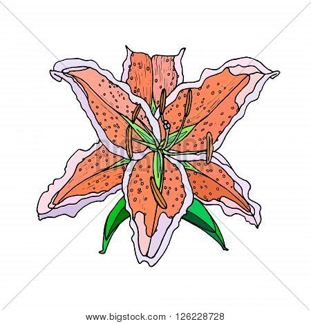 Vector. Handmade. Watercolor illustration of a high quality for your design. Eco art.