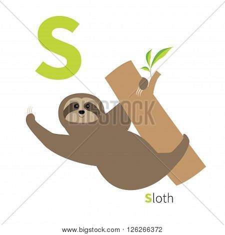Letter S Sloth hanging on tree Zoo alphabet. English abc with animals Education cards for kids Isolated White background Flat design Vector illustration