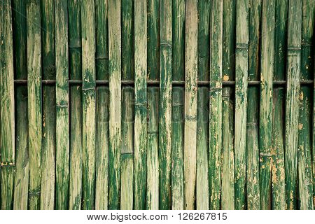 Green Dry Bamboo