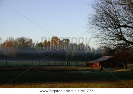 early morning