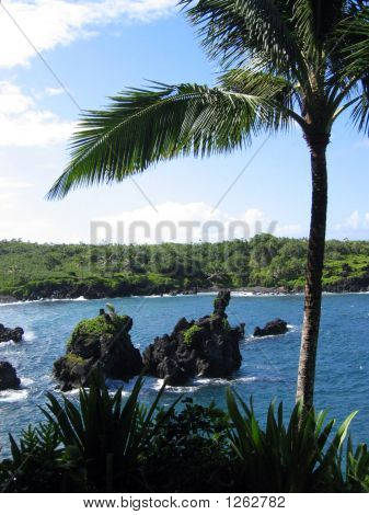 Maui Coast