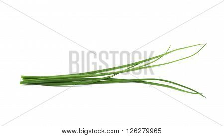 Green onion scallions isolated over the white background