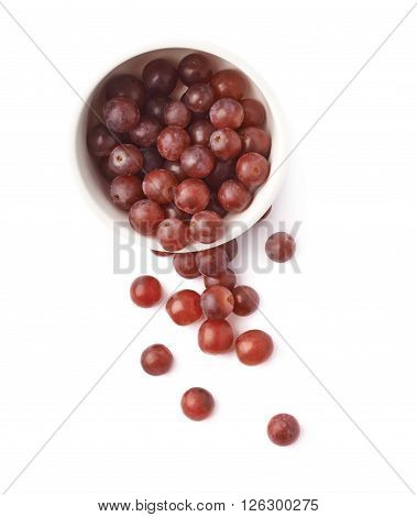 Dark red grapes spilled out of the white cermic bowl, composition isolated over the white background