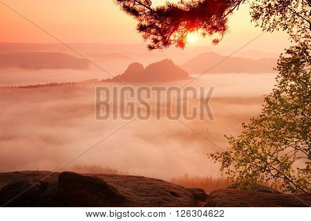Amazing place with red dreamy mist in valley