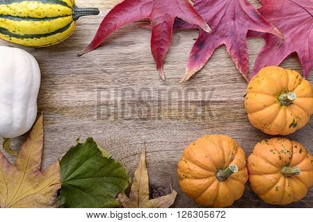 frame of small pumpkin and leaves on wood