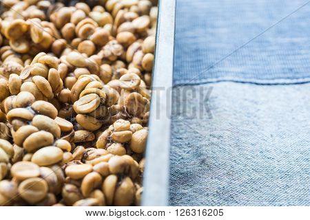 Coffee series : Coffee beans excreted by the civet