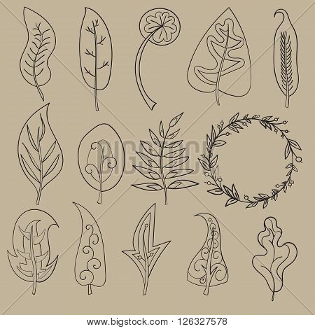 Set of contour leaves isolated vector illustration