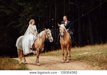 beautiful fabulous happy bride and stylish groom riding horses and lovely looking each other on the background of the autumn forest