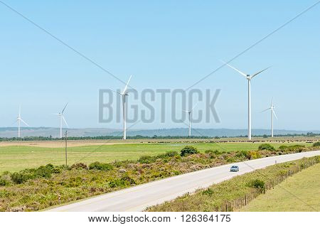 HUMANSDORP SOUTH AFRICA - FEBRUARY 28 2016: The N2 National Road near Humansdorp with wind driven turbines and cattle in the back