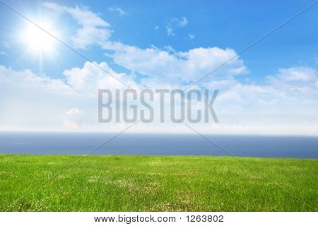 Sunny Day