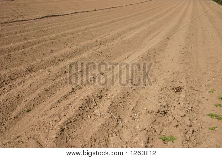 Solchi arati In campo.