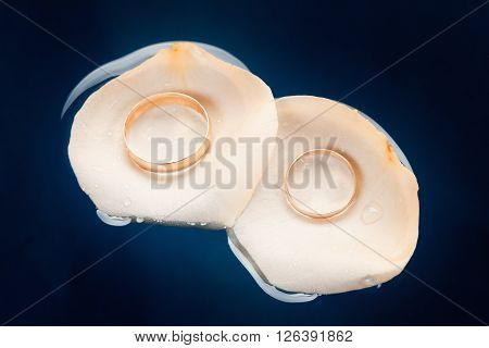 Wedding rings on the rose petals floating in water macro
** Note: Soft Focus at 100%, best at smaller sizes