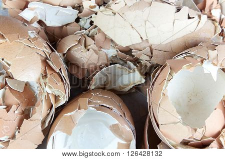 egg shell many lot a creaked fracture