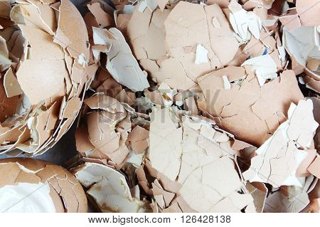 egg shell many lot a creaked fracture