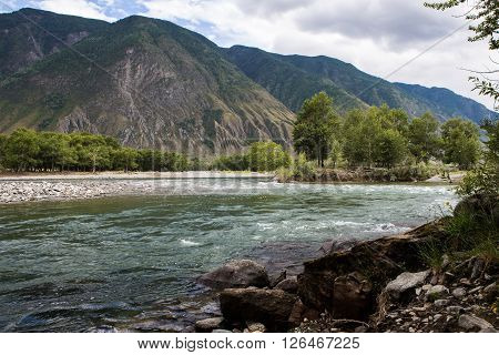 Chulyshman river not far from the place, where Chulcha river flows into it. Altai republic, Russia.