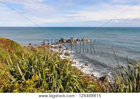 Coastal View In Cape Foulwind, New Zealand