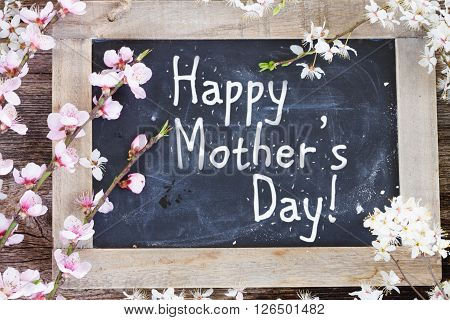 fresh cherry twigs with fresh pink  blooming  flowers  on blak board for happy mothers day