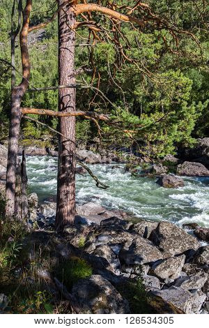 Chulcha River near Uchar waterfall, Altai, Russia. The route to the waterfall is a UNESCO object.
** Note: Soft Focus at 100%, best at smaller sizes
