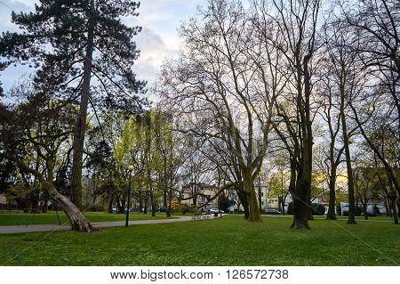 Veterans Park - Polish: Park Kombatantow - commonly called Koelichenow Park -named after the last owners - park in Warsaw, in the district of Wlochy in the area of Nowe Wlochy.