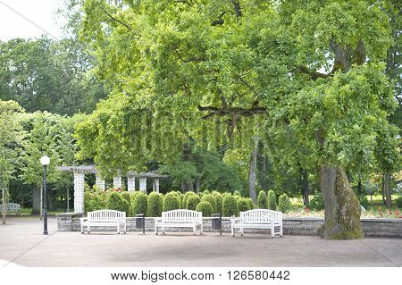 August, 2015  - Tallinn, Estonia. Kadriorg  park in Tallinn is the Catherine's Valley commissioned by the Russian Czar Peter the Great.