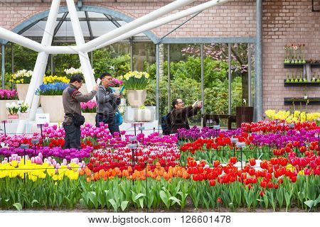 Lisse, Netherlands - April 4, 2016: Colorful tulips flower blossom and people taking photos in pavillion of dutch spring garden Keukenhof, Lisse, Netherlands