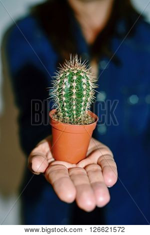 closeup of a young caucasian woman with a small cactus in a brown plant pot in the palm of her hand