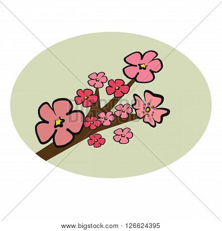Cherry Blossom branch illustration vector with pink petals flower on circle isolated on white background