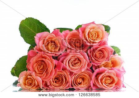 bouquet of pink roses isolated on white