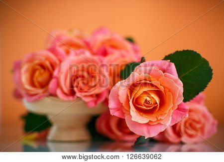 bouquet of pink roses on an orange background