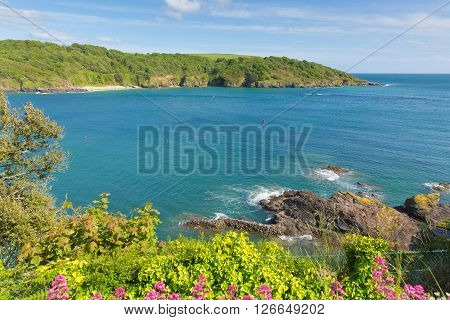 View across Salcome estuary to Sunny Cove secluded beach Devon UK