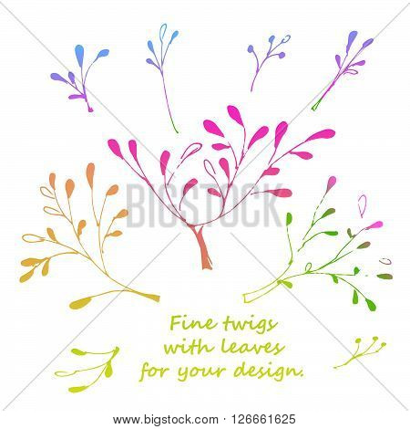 Tree branches silhouette isolated over white background with lot of leaves, border of a page