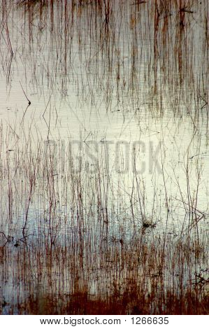Reflection1