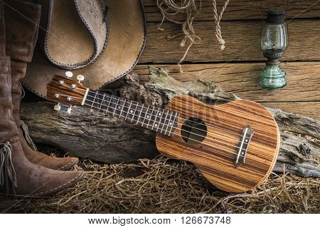Still life painting photography with ukulele on american west rodeo brown felt cowboy hat and traditional leather boots in vintage ranch barn background
** Note: Soft Focus at 100%, best at smaller sizes