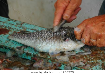 Fiskeri og fisk i Azorerne, Portugal