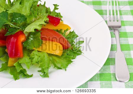 Tomato, Sweet Pepper with Lettuce Salad Studio Phoro