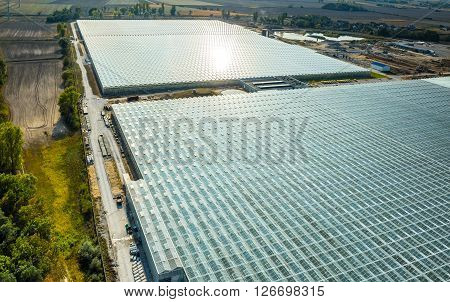 Aerial View On The Greenhouse