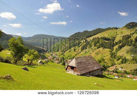 Summer morning landscape in the carpathian countryside
