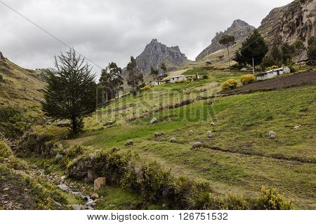Farms and crops on slopes around Zumbahua province of Cotopaxi Ecuador