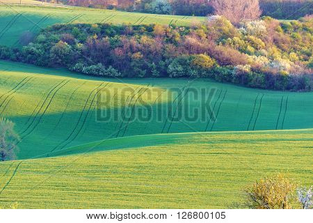 Moravian Tuscany is called a corrugated landscape near Kyjov Moravia Czech Republic